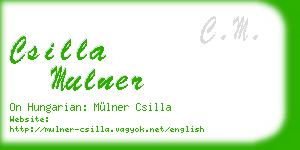 csilla mulner business card